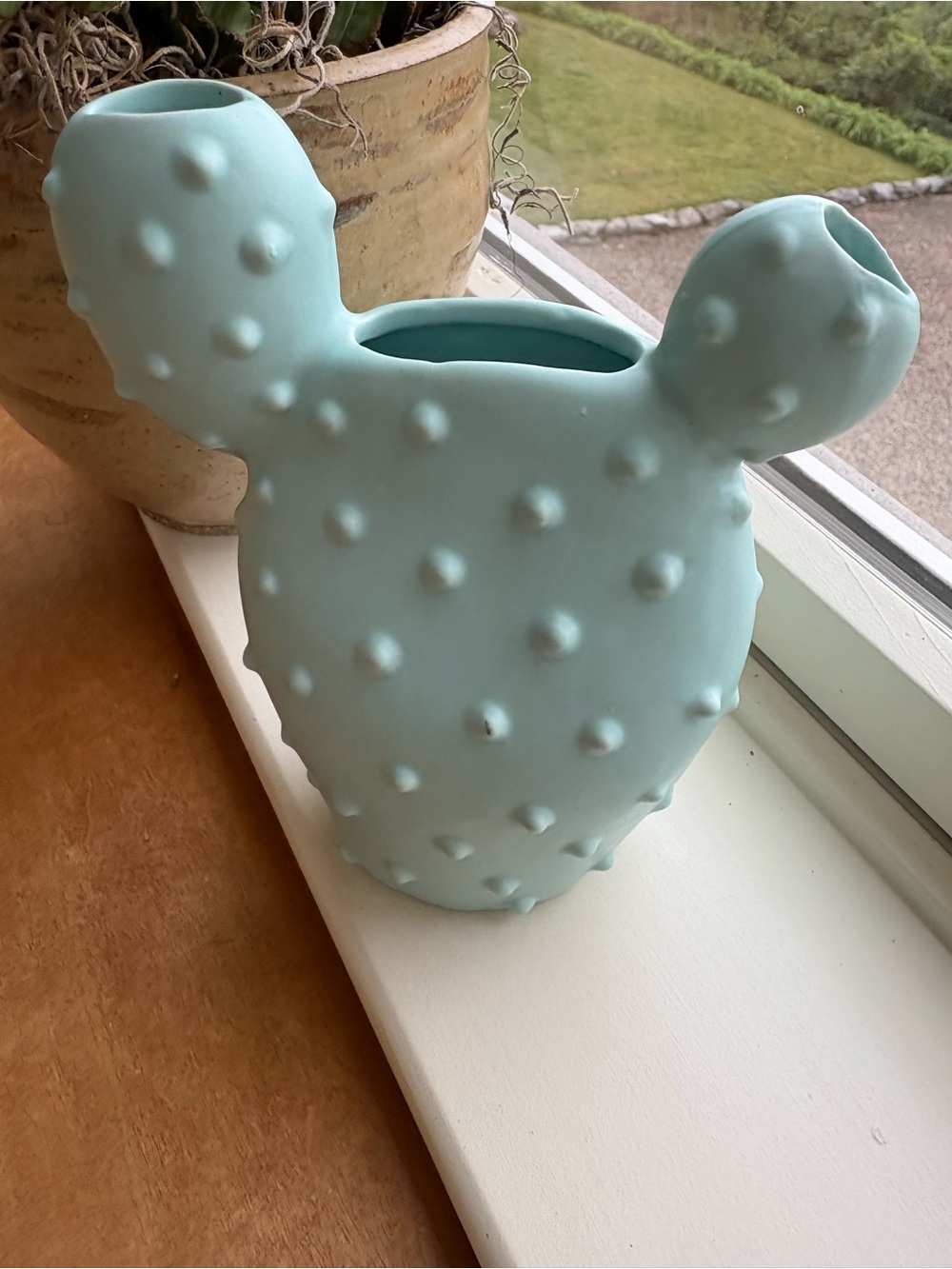NEW Matte Aqua Ceramic Cactus Vase - Decorative Home Art